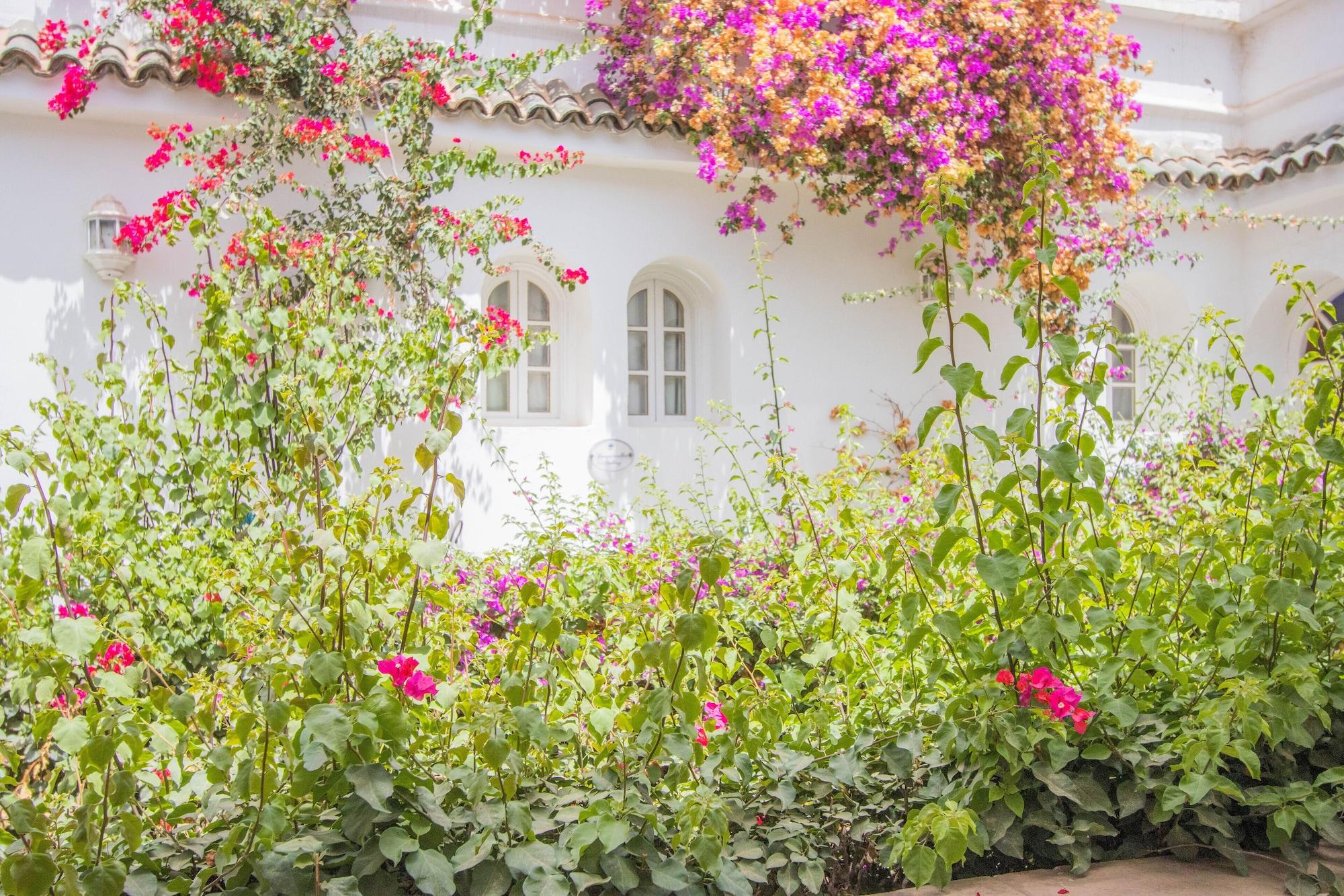 Riad Palais Des Princesses & Spa Marrakesh Exterior foto A garden in Morocco